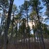 amandahegwood